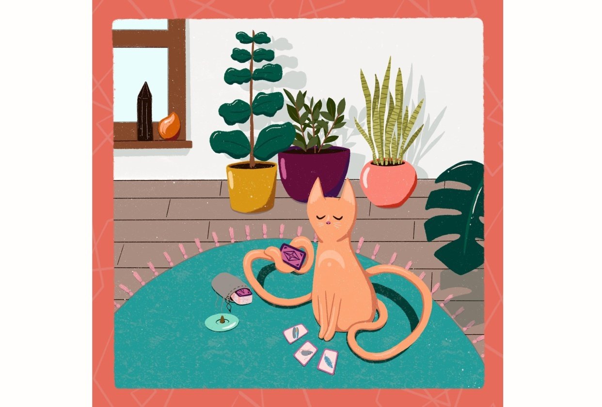 Tarot Cat - student project