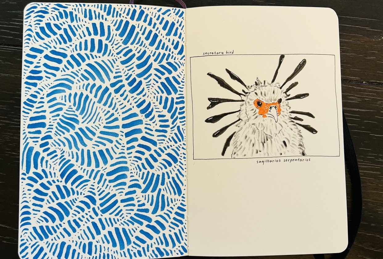 my brush pen adventure - student project