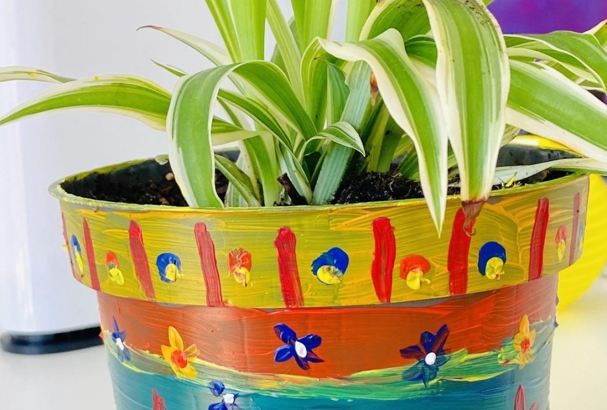 Grew this plant using the technique from the leason - student project