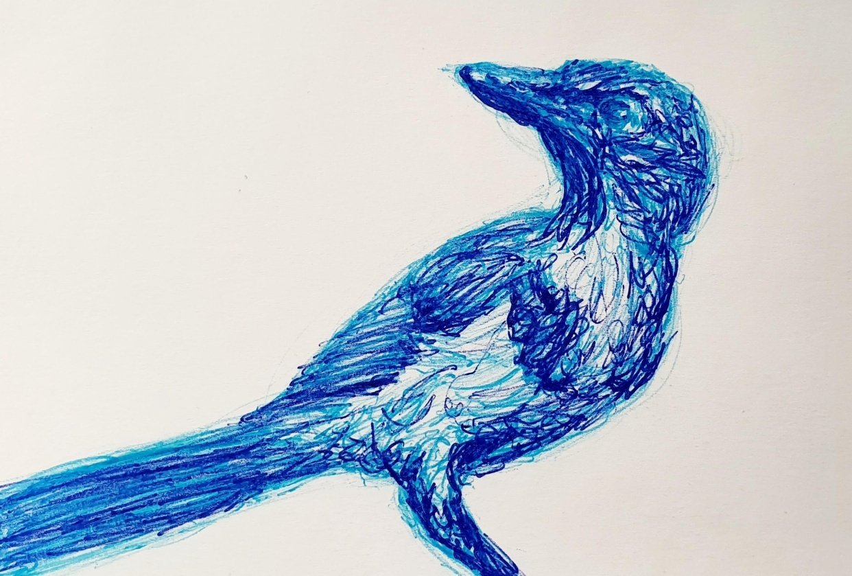 Ballpoint bird - student project
