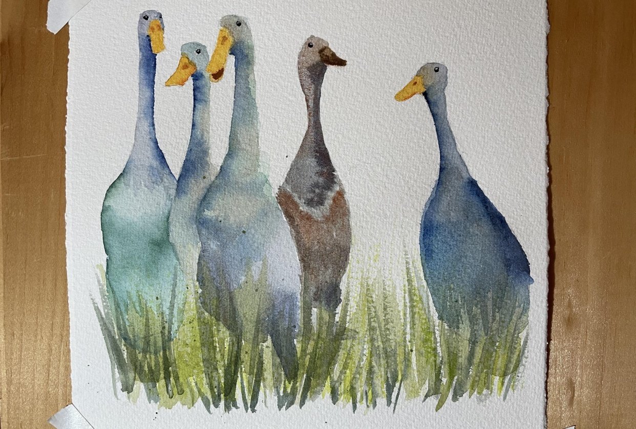 Runner Ducks Skillshare Student Project