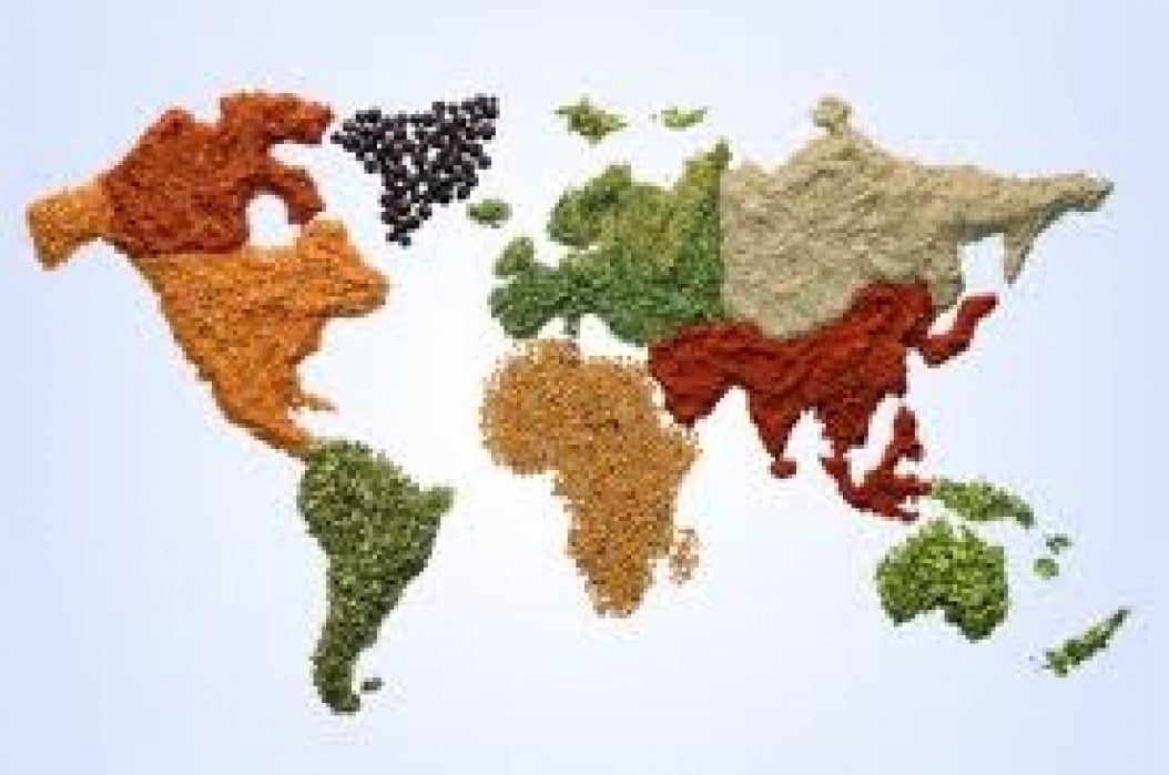 World Food Flavors - student project