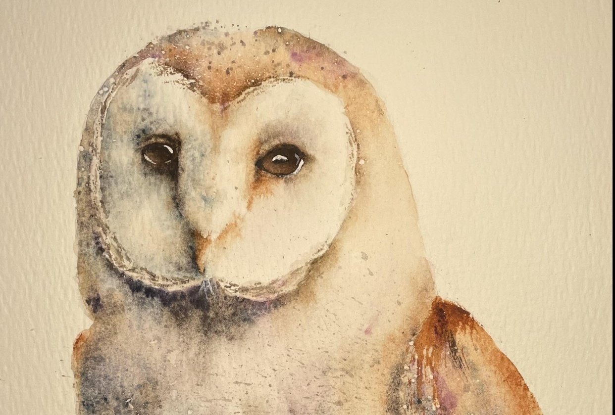 Barn Owl Skillshare Student Project