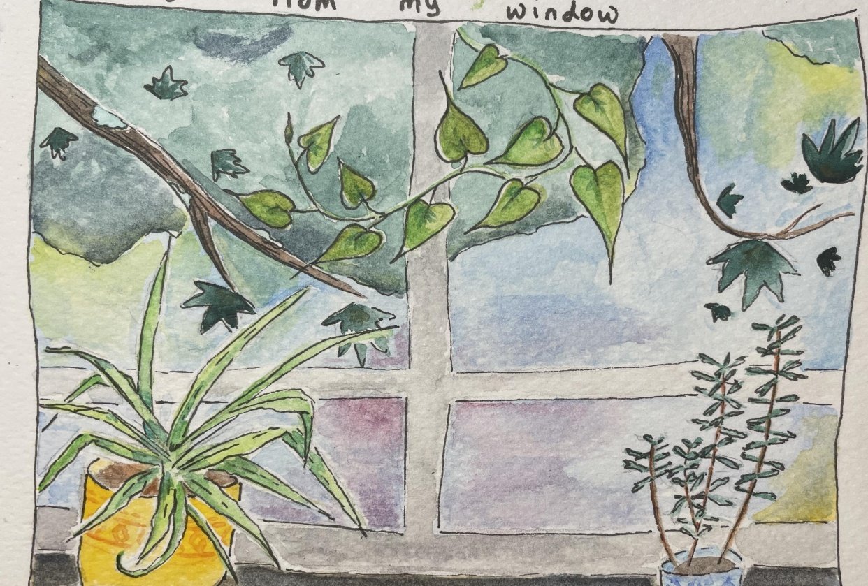 view from my window Skillshare Student Project