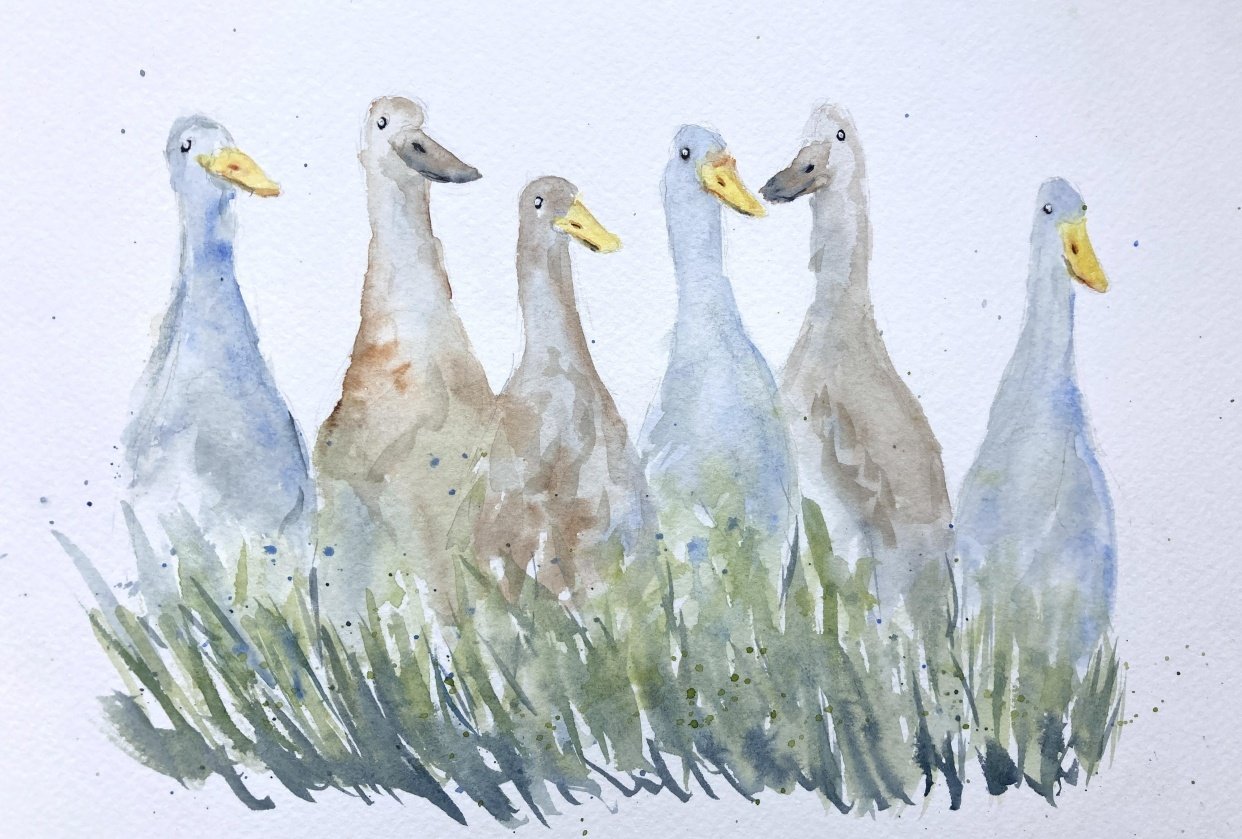 Runner Ducks Skillshare Student Project