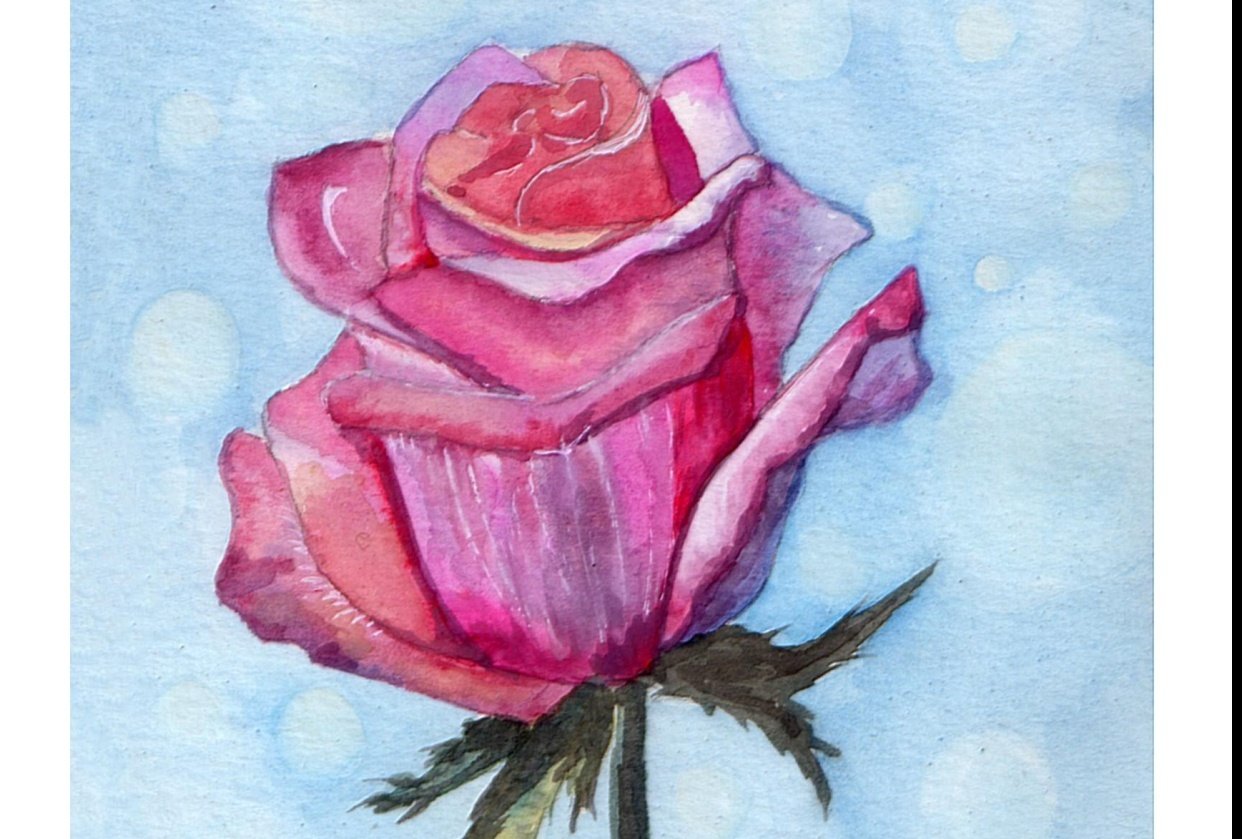 rose-skillshare-student-project