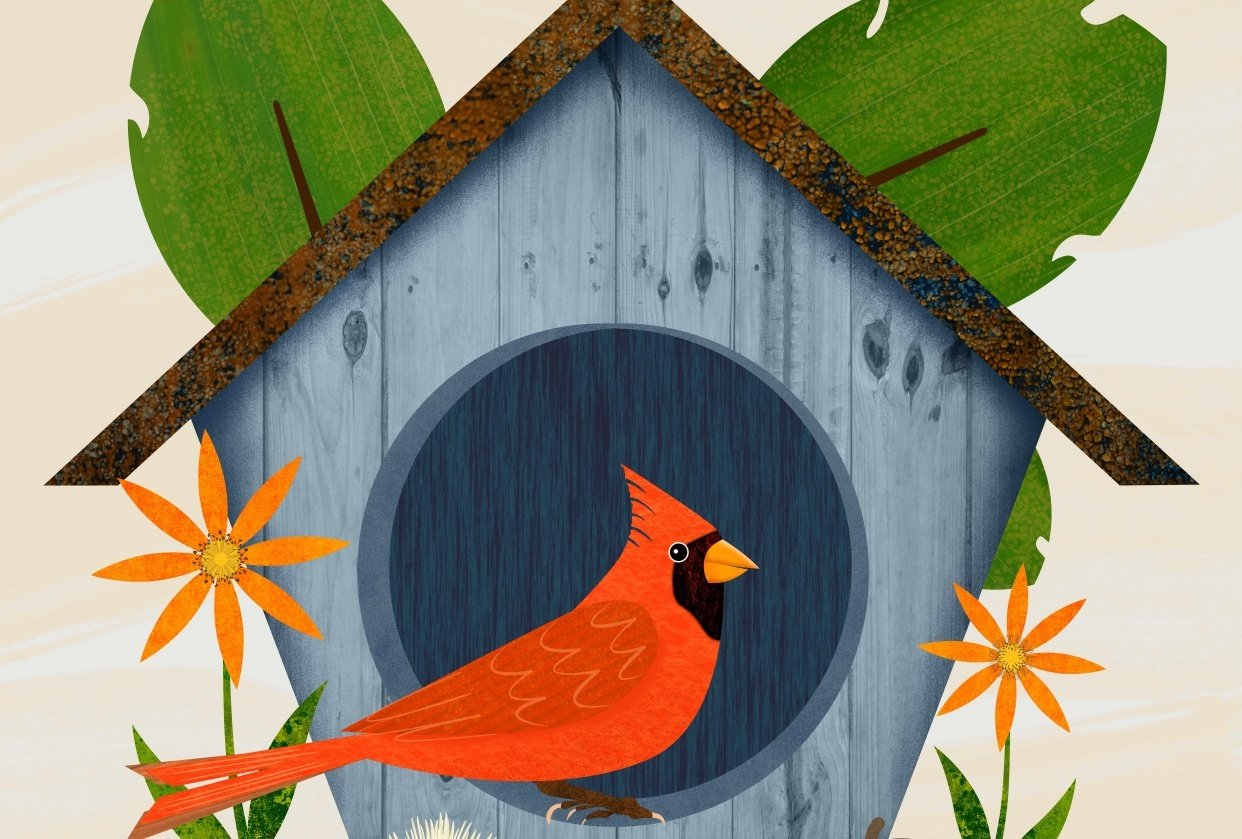 Birdhouse and birds Skillshare Student Project