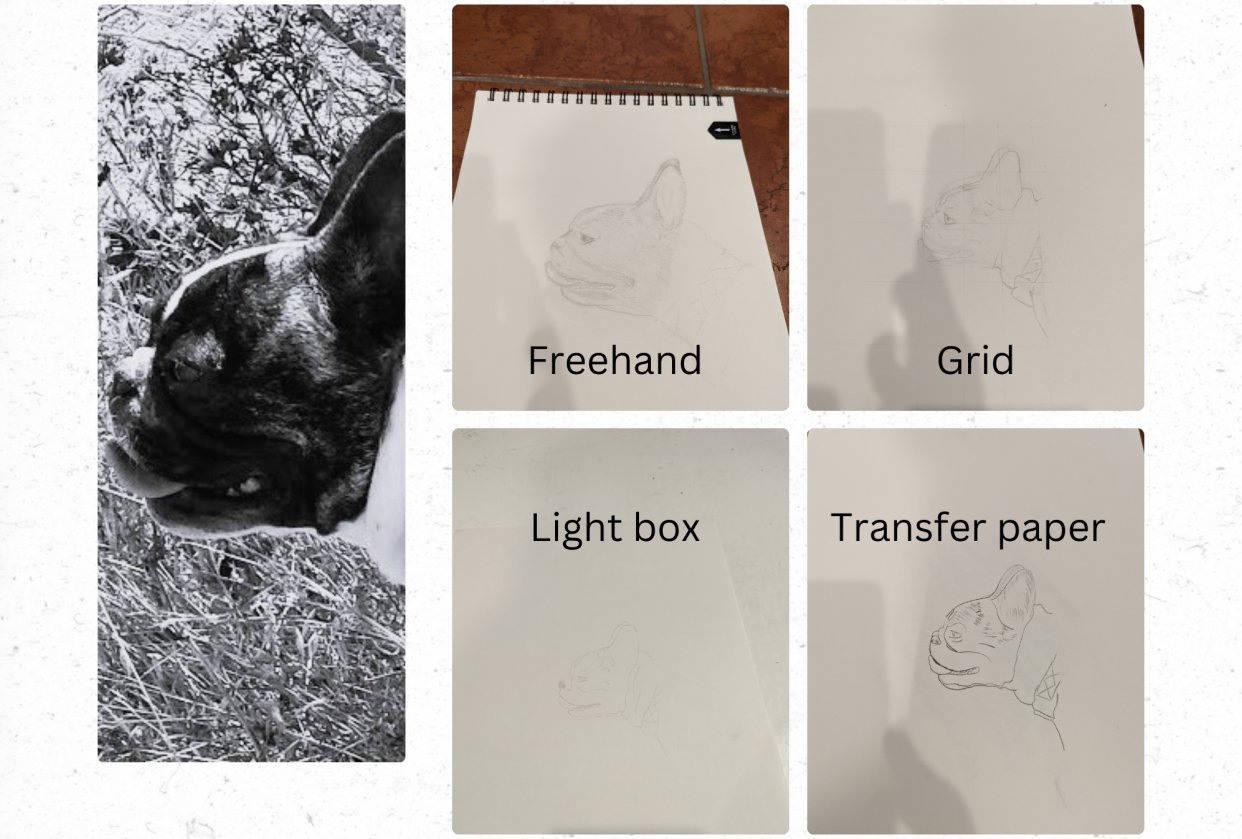 Image comparison - student project