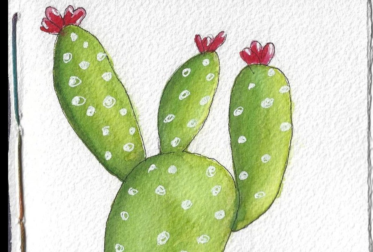 Painting Cacti in Watercolor - student project