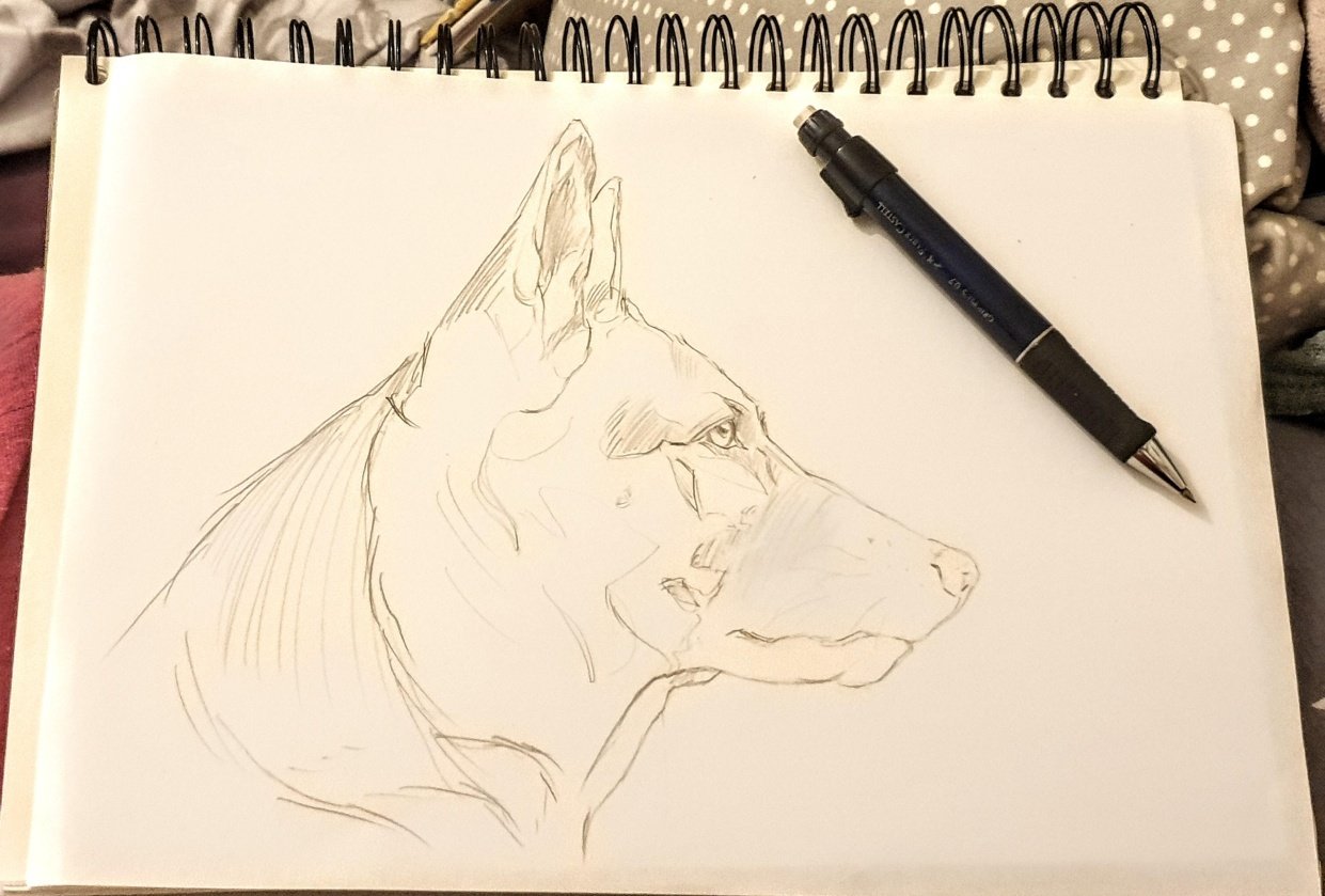Drawing, tracing, doing both - student project