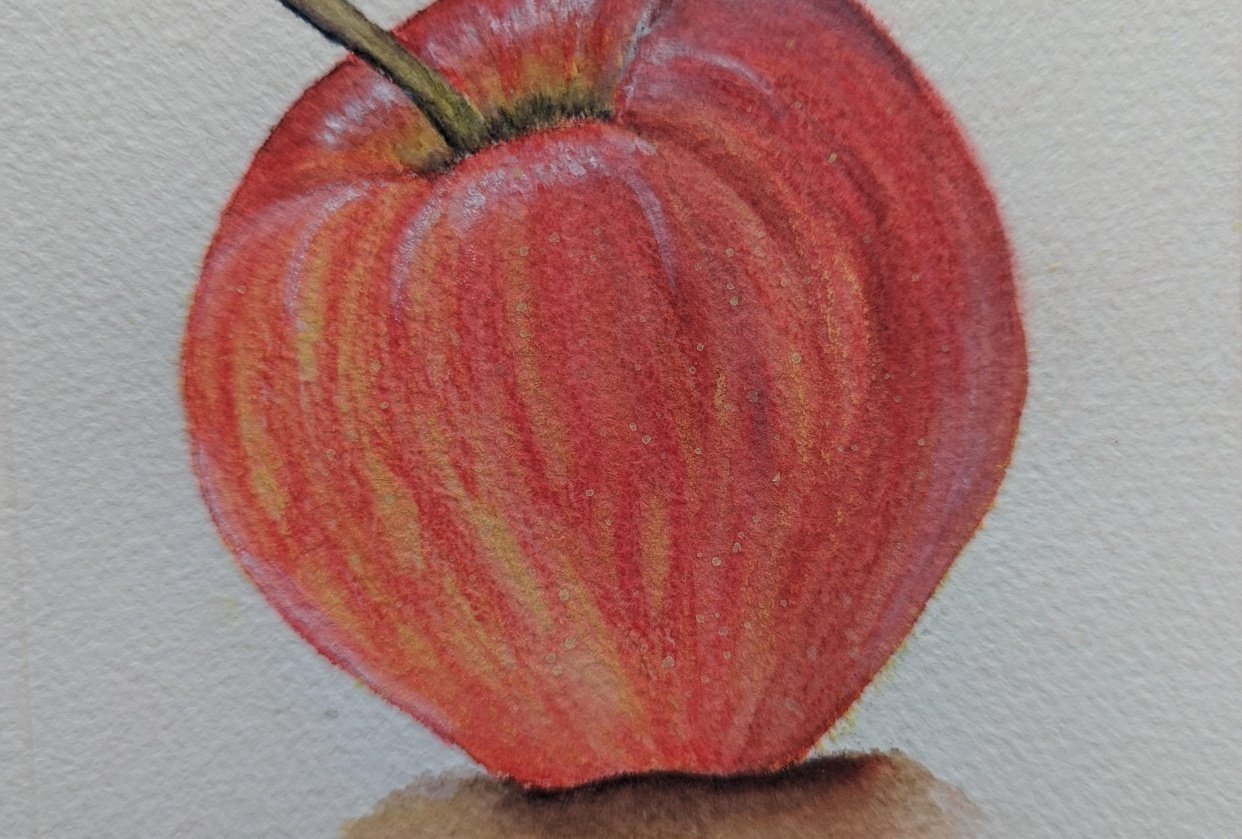 My First Watercolor Pencil Project Skillshare Student Project