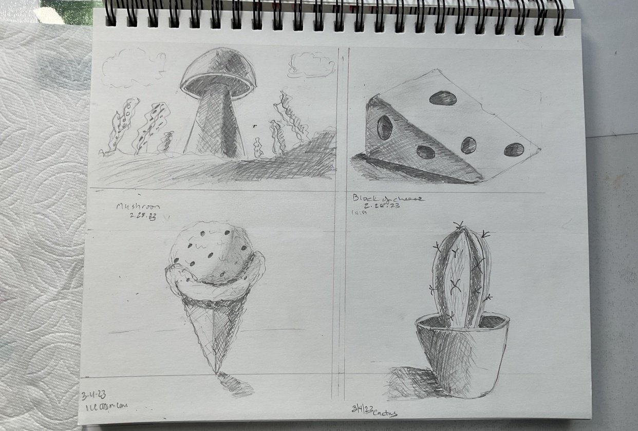 Class project - student project