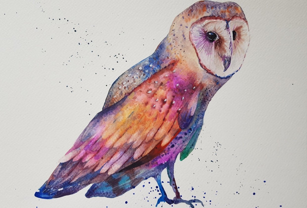 Rainbow Owl - student project