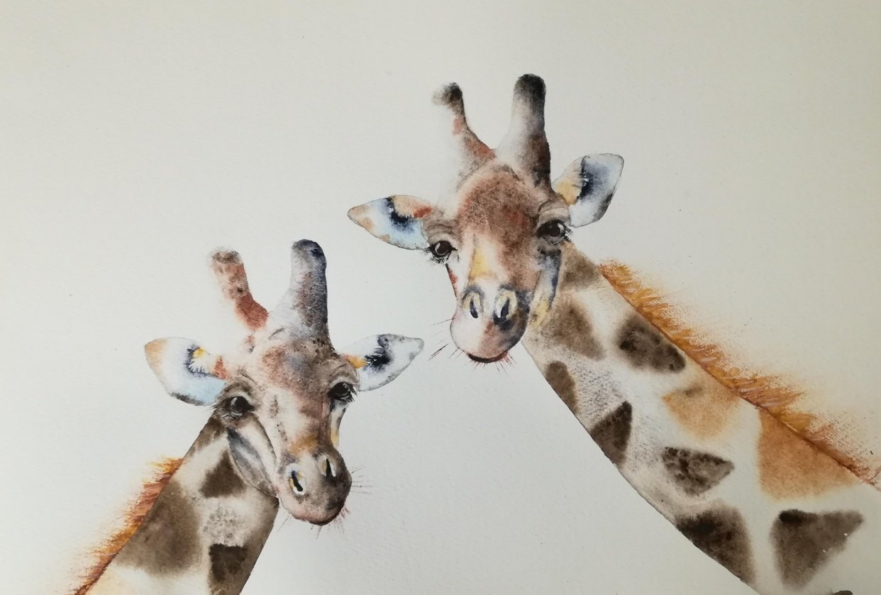 Lovely giraffe - student project