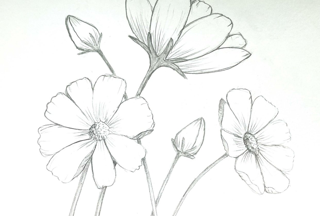 My flowers - student project