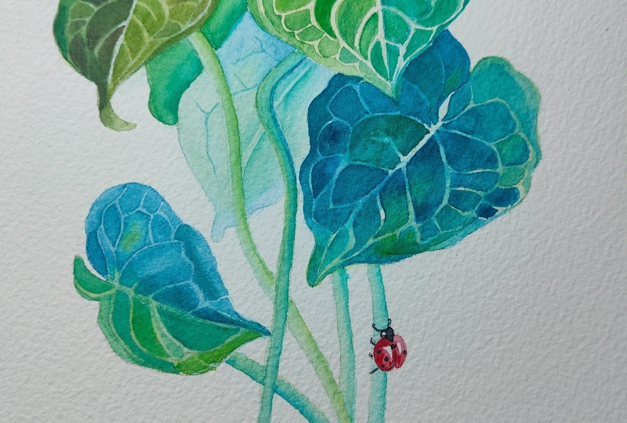 Leaves Negative Painting Skillshare Student Project