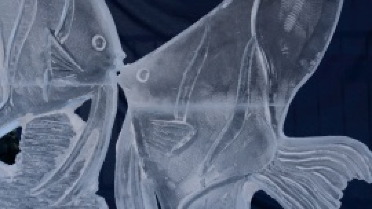 The Ice Festival - The Final Cut - student project