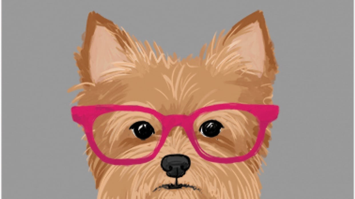 All About That Fluff - student project