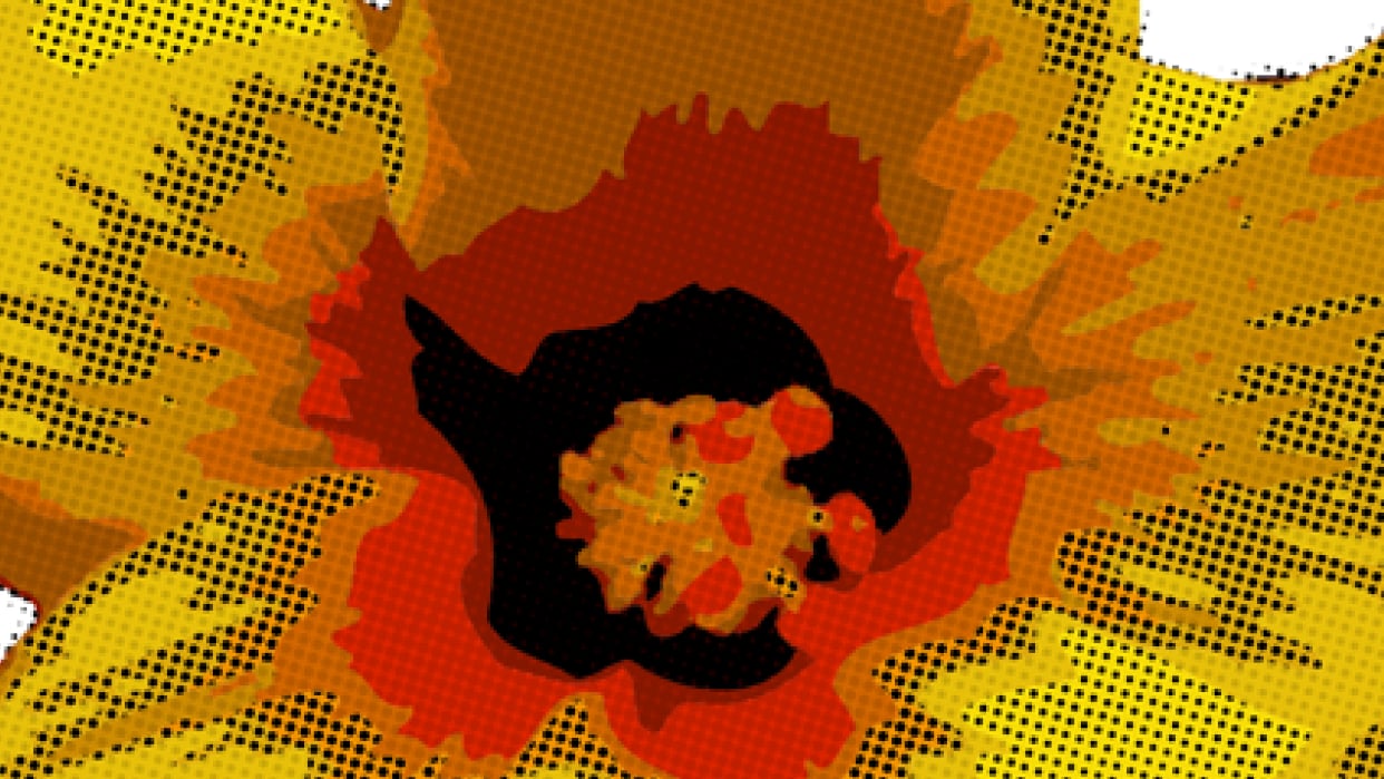 Hibiscus and Houndstooth - student project