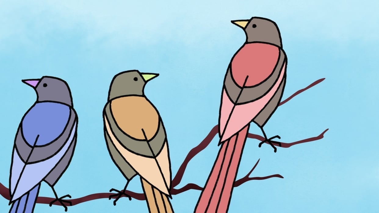 Lined-up Birds - student project