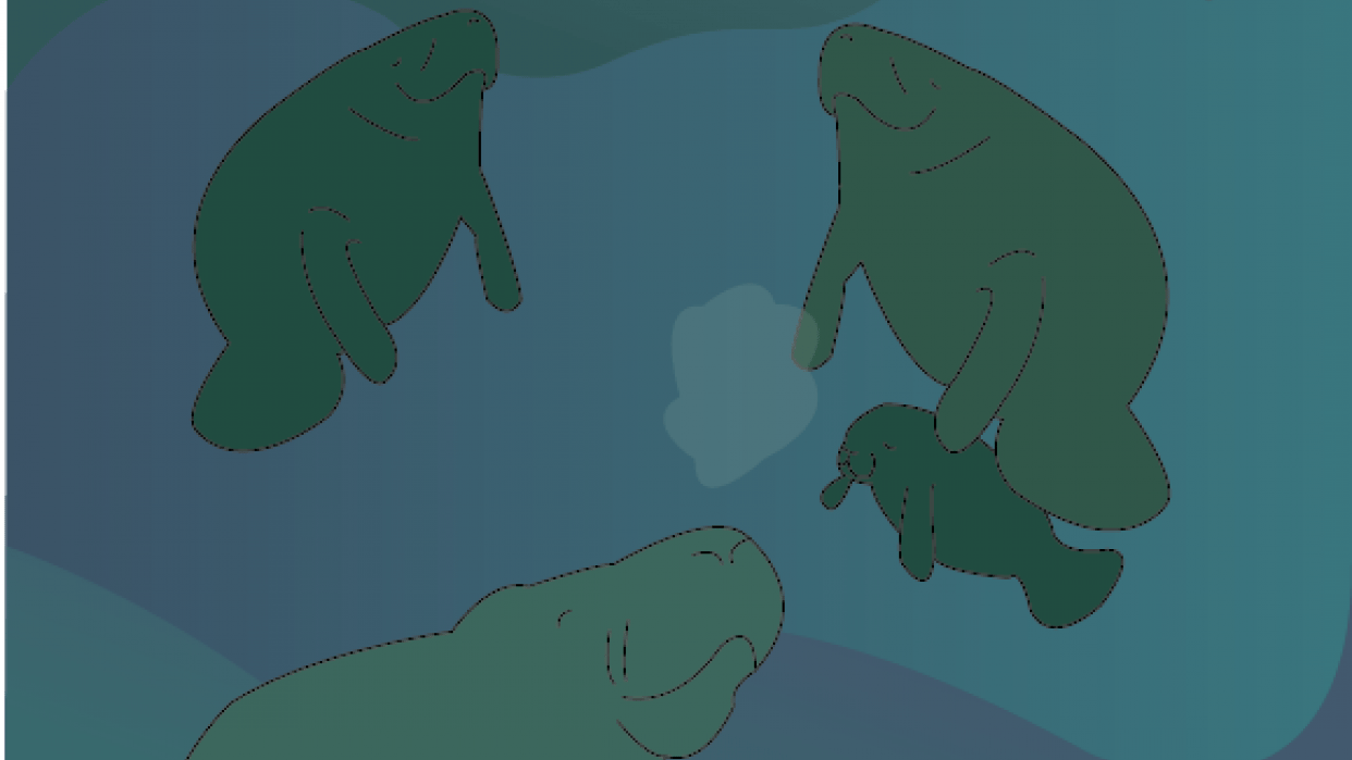 Floating in a sea of quiet - student project