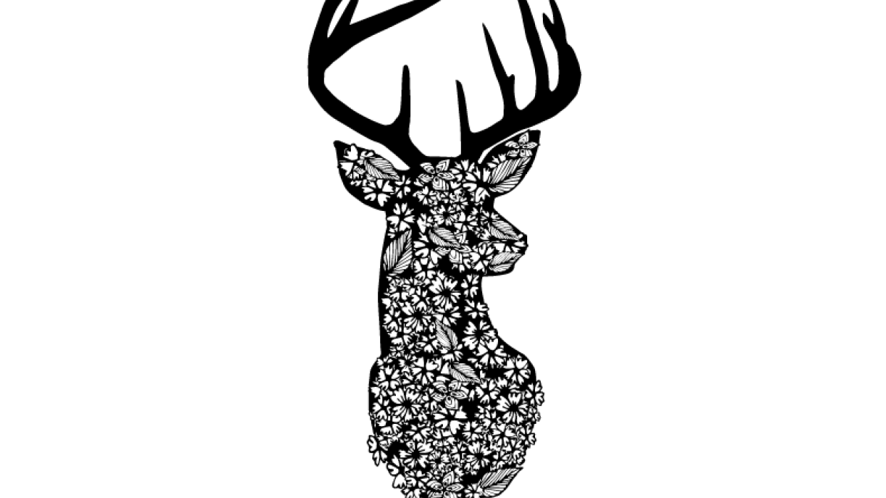 Floral Wildlife Prints - student project