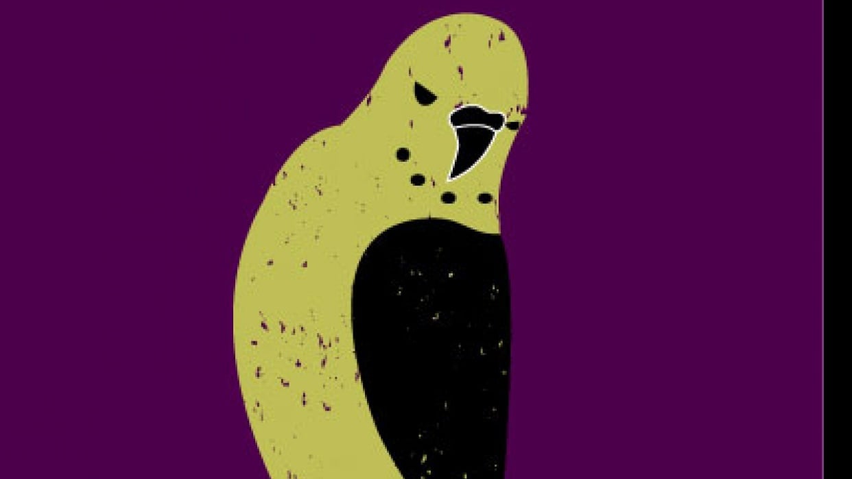 Budgie with texture - student project