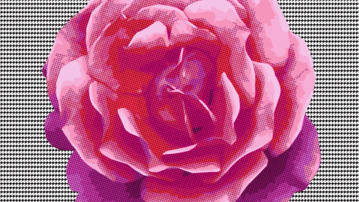 Houndstooth Rose - student project