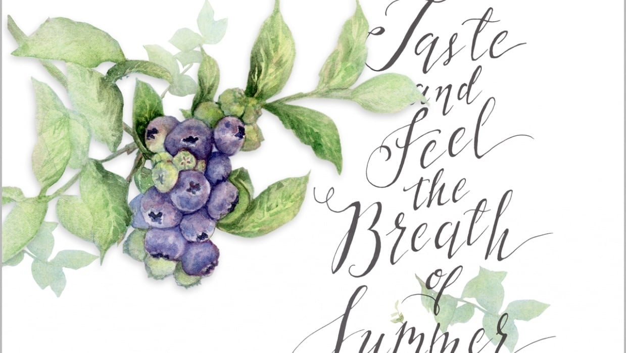 Blueberries in the Summer - student project