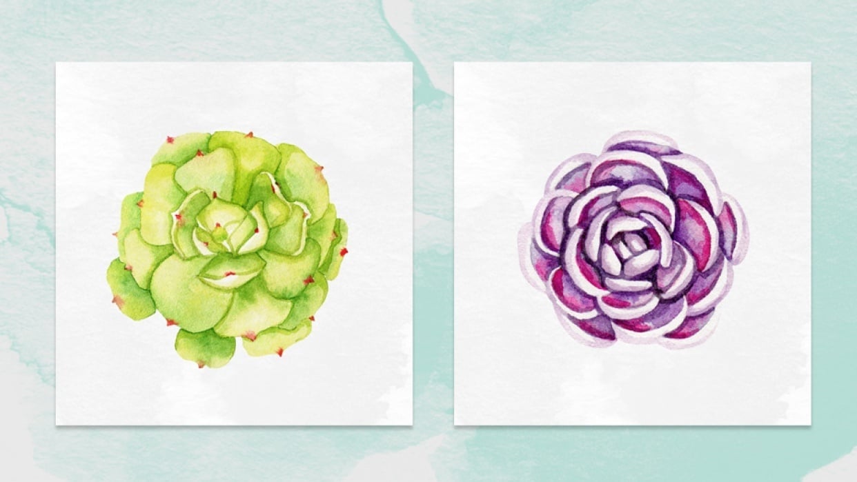 Watercolor Succulents Sample Project - student project