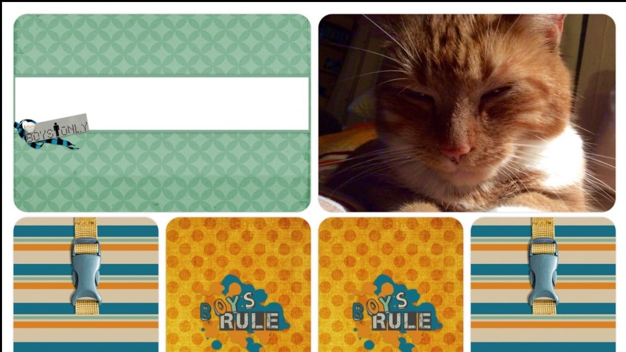 Project Life Cards with a Digital Scrapbooking Kit - student project