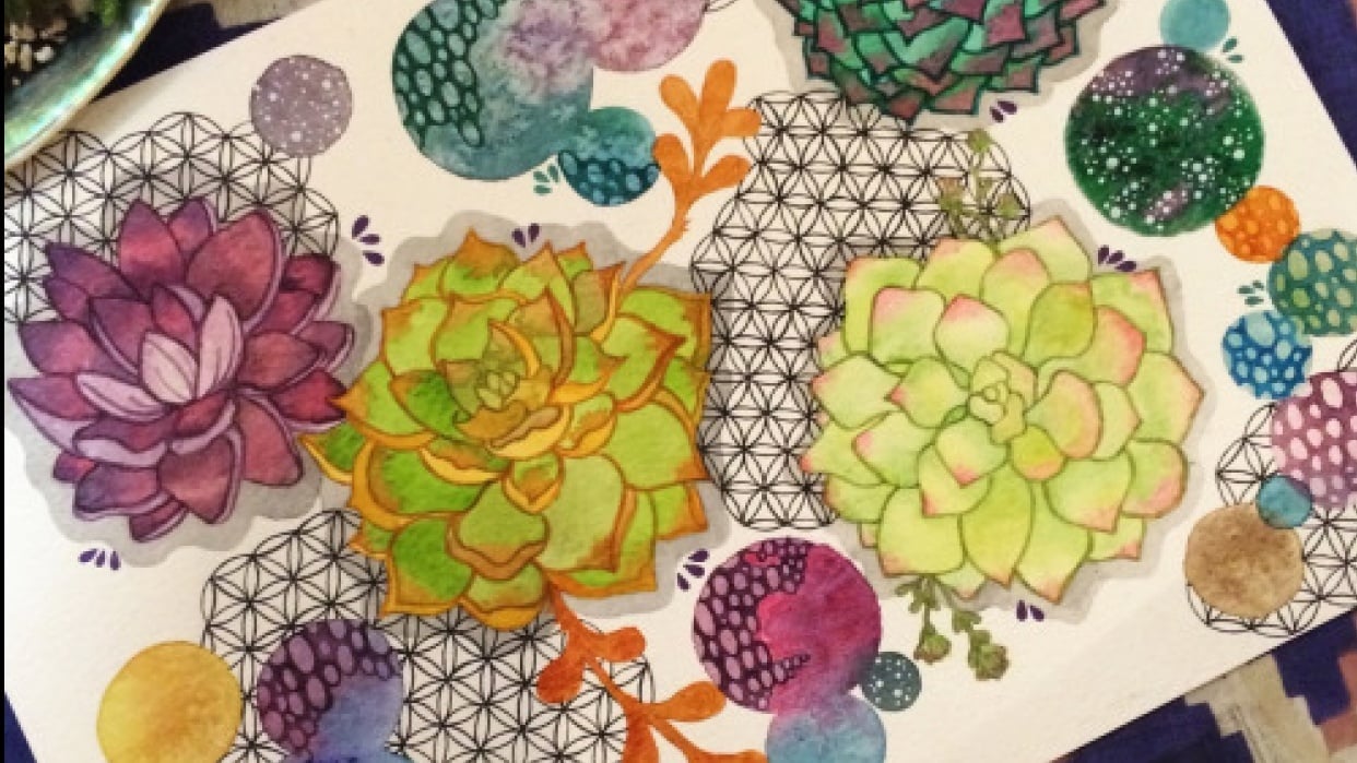 Sacred Succulents - student project
