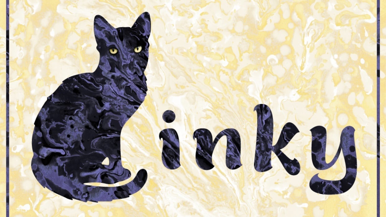 Inky, my first kitty - student project