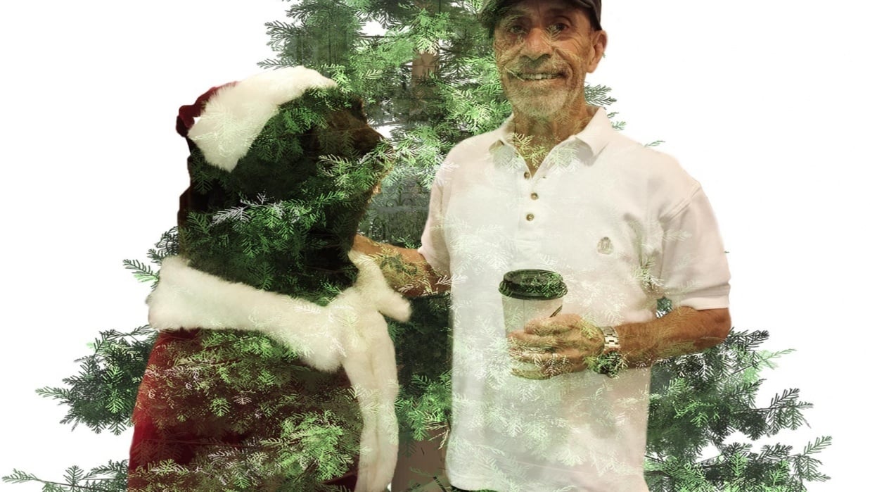 Look who I met in the woods - student project