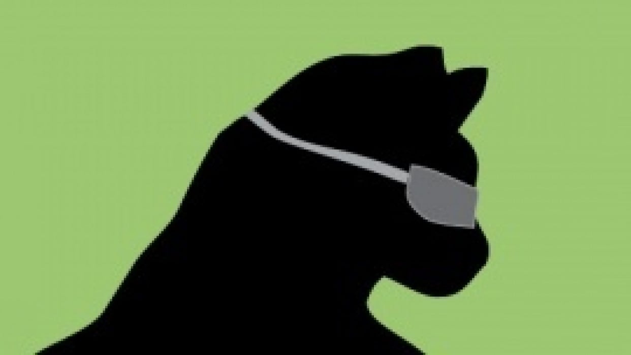 Cat Scientist - student project