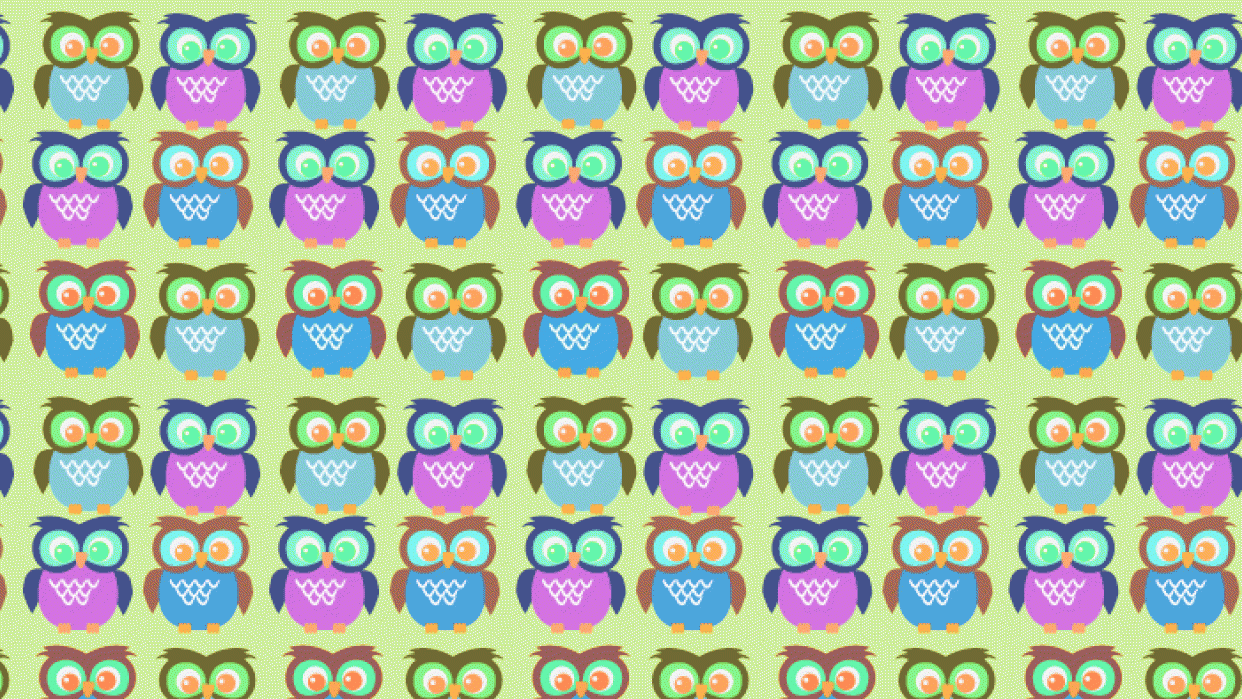 Owl - student project