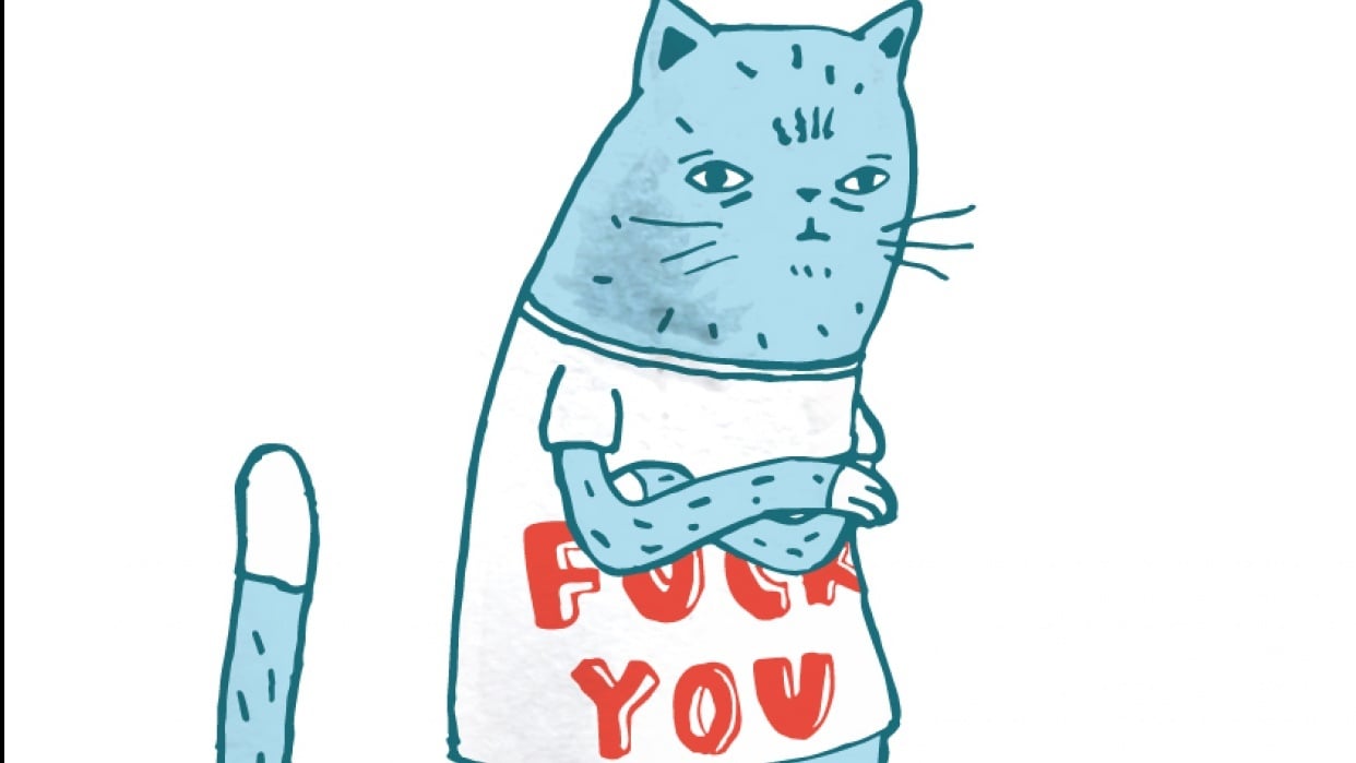 Danny The Cat  - student project