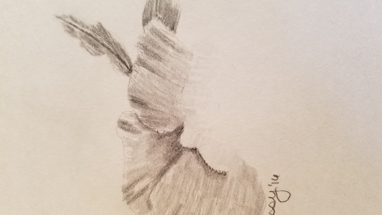 Day 1-Leaves and Petals - student project