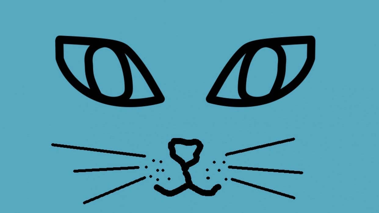 Cat's eye - student project