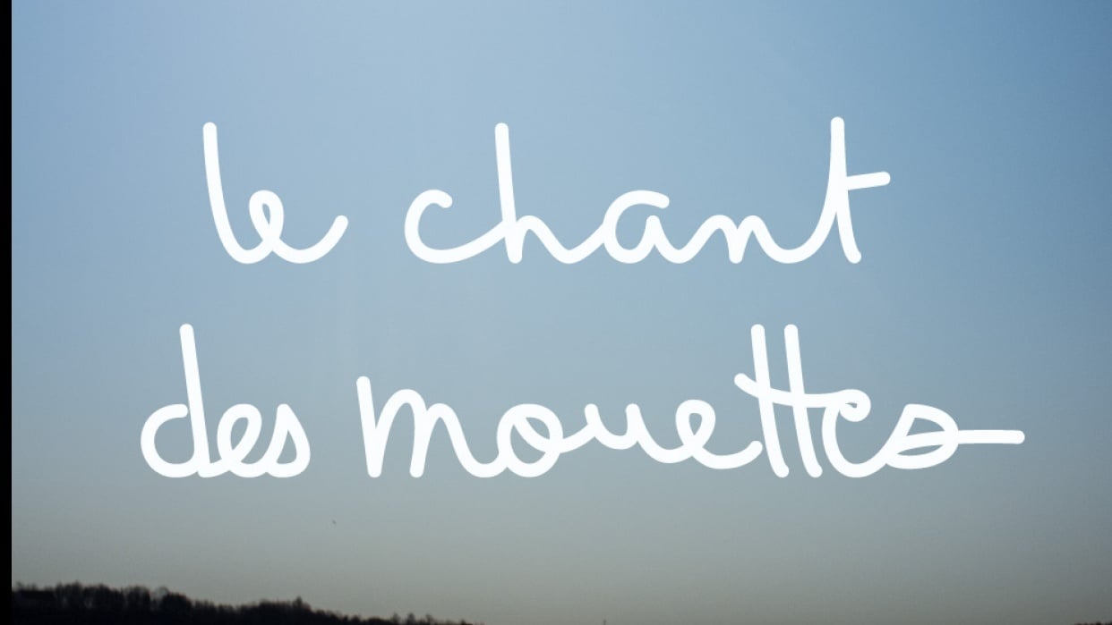 Monoline lettering - le chant des mouettes - student project
