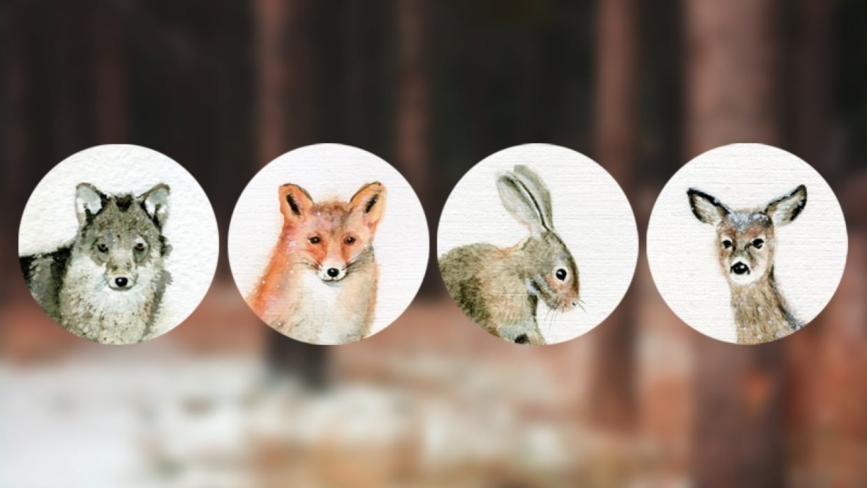 fox & friends - student project