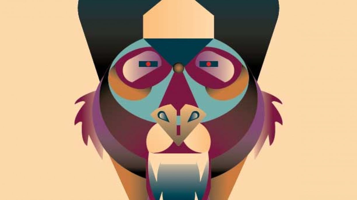 Baboon - student project