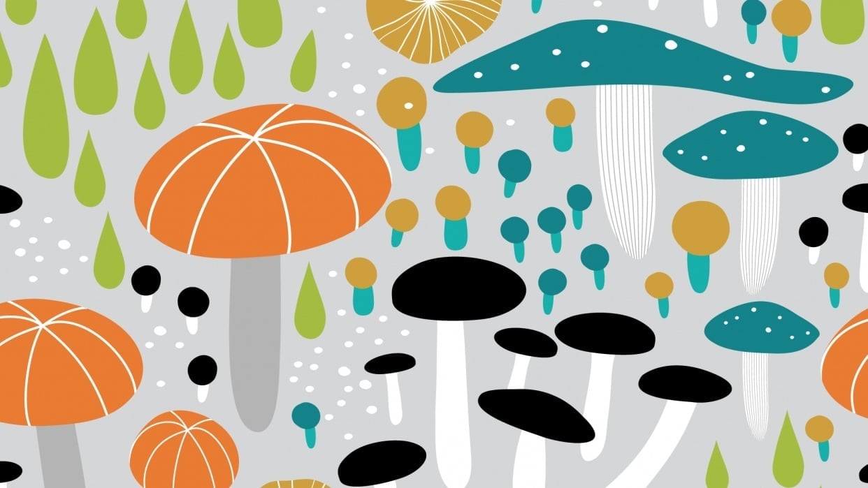 Mushroom Medley - student project