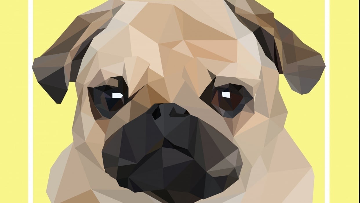 Low Poly Pug - student project