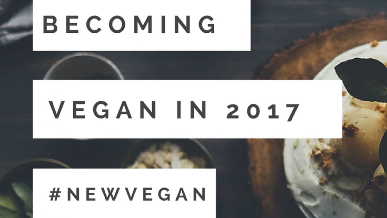 My pin using Canva - student project