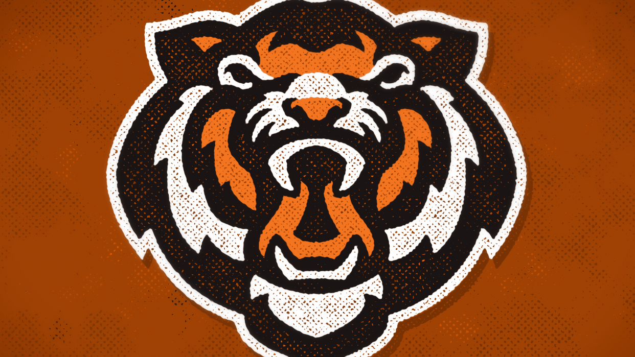 Stock Tiger Head - student project
