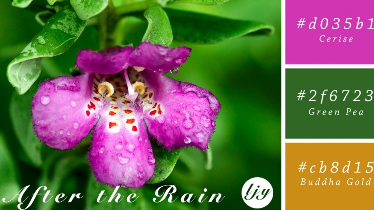 Generate Coolors Co Color Theory Skillshare Color Sch vrogue.co