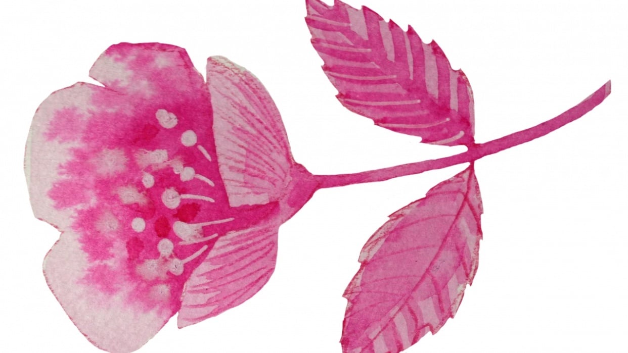 flower cutout practice - student project