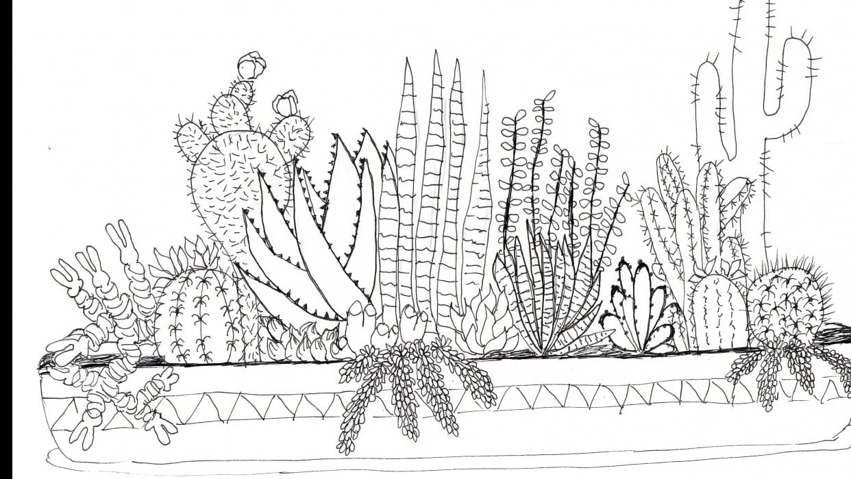 Practice Practice Practice Cactus cactus cactus. - student project