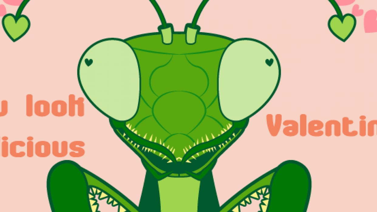 Mantis Valentine - student project